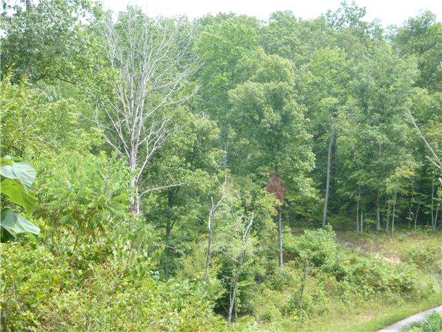 6031 Garrison Springs Road Franklin, TN 37064 - Photo 13 of 15 Gallery Image 13