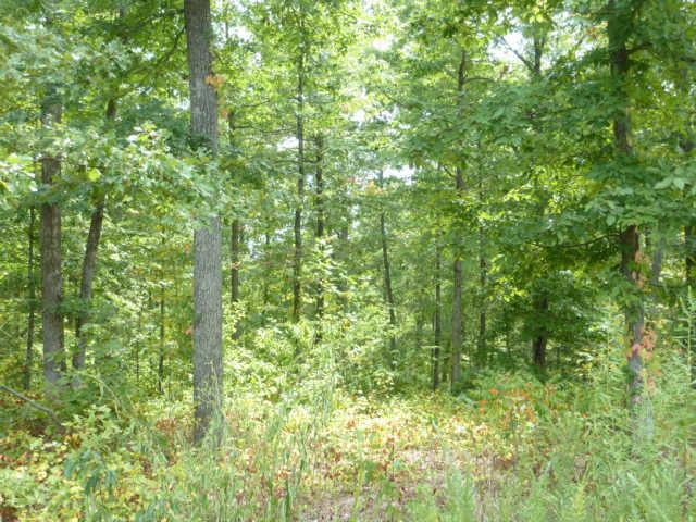 6031 Garrison Springs Road Franklin, TN 37064 - Photo 6 of 15 Gallery Image 6
