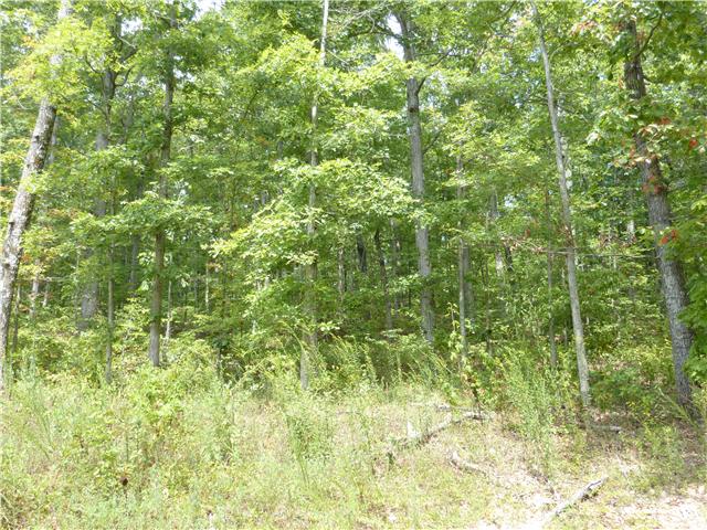 6031 Garrison Springs Road Franklin, TN 37064 - Photo 10 of 15 Gallery Image 10