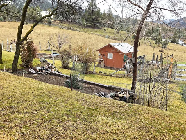 a view of a backyard with large trees