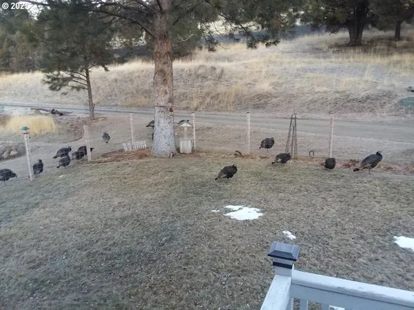 $399,999 | 60408 Marysville Lane, Canyon City, OR 97820