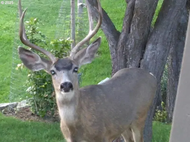 a view of a lake view