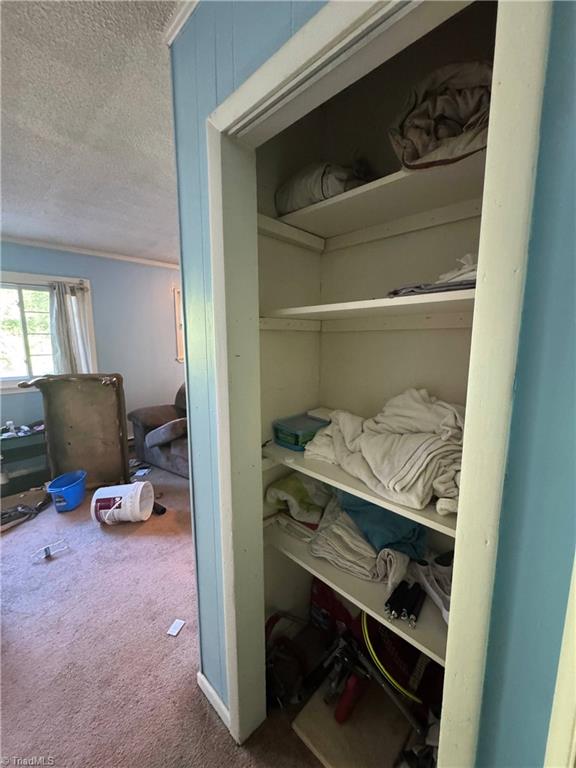 7410 Seldon Road Summerfield, NC 27358 - Photo 21 of 43