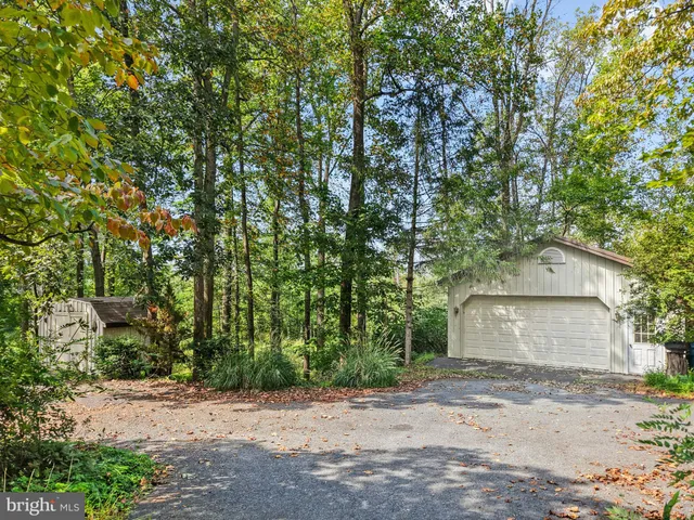 a view of outdoor space and trees all around