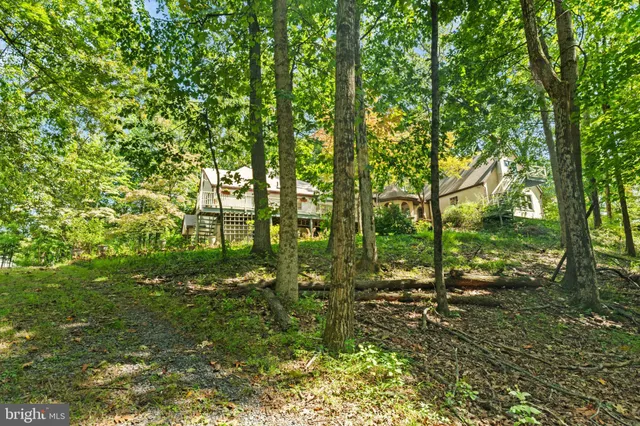 a backyard of a house with lots of green space