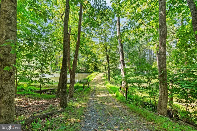a view of a backyard with plants and a garden