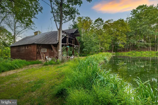 a view of a garden with a lake