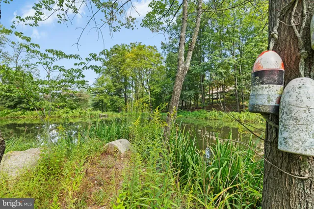 a view of a garden with a fountain