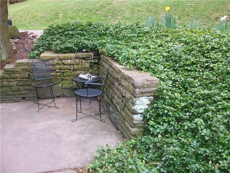 246 Universal Road Penn Hills, PA 15235 - Photo 15 of 18 Patio/Deck.