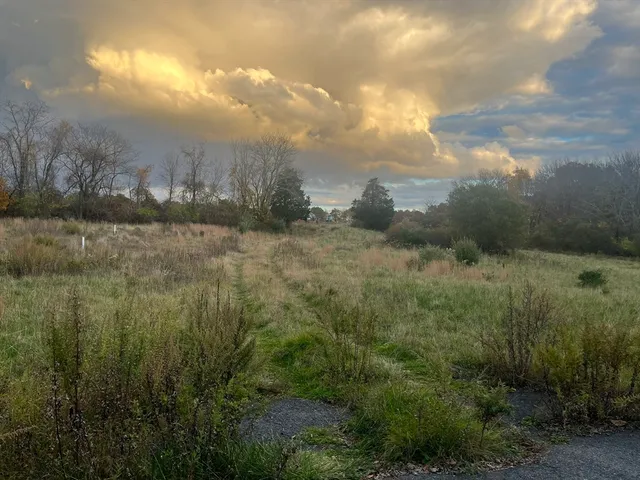 a view of lake with green space