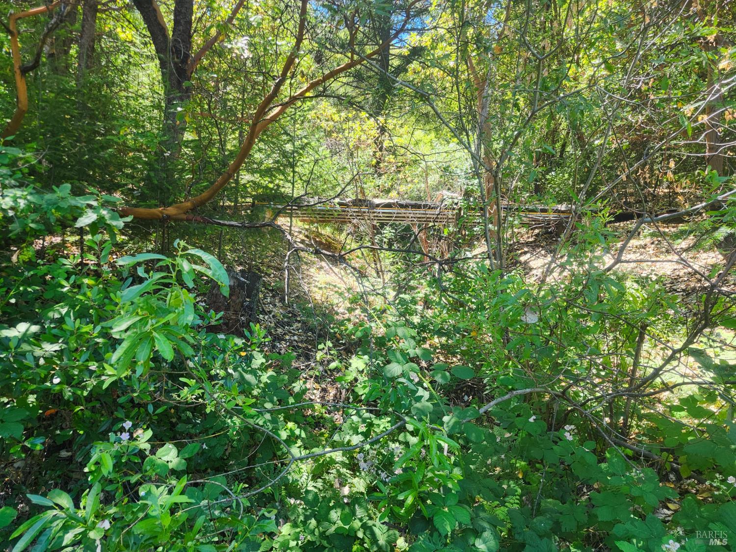 78577 Mina Road Covelo, CA 95428 - Photo 7 of 10