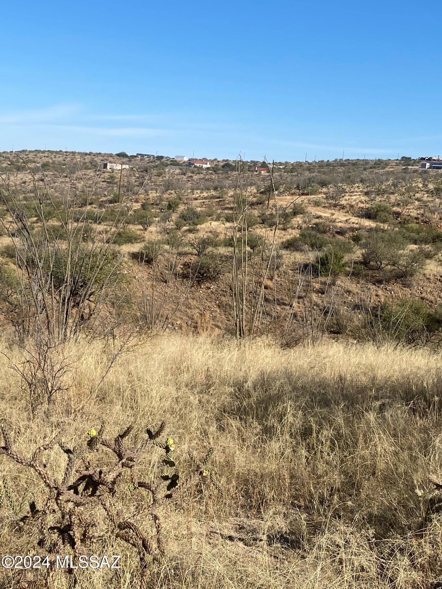 1678 Ave Calamar, Unit 112 Rio Rico, AZ 85648 - Photo 4 of 11