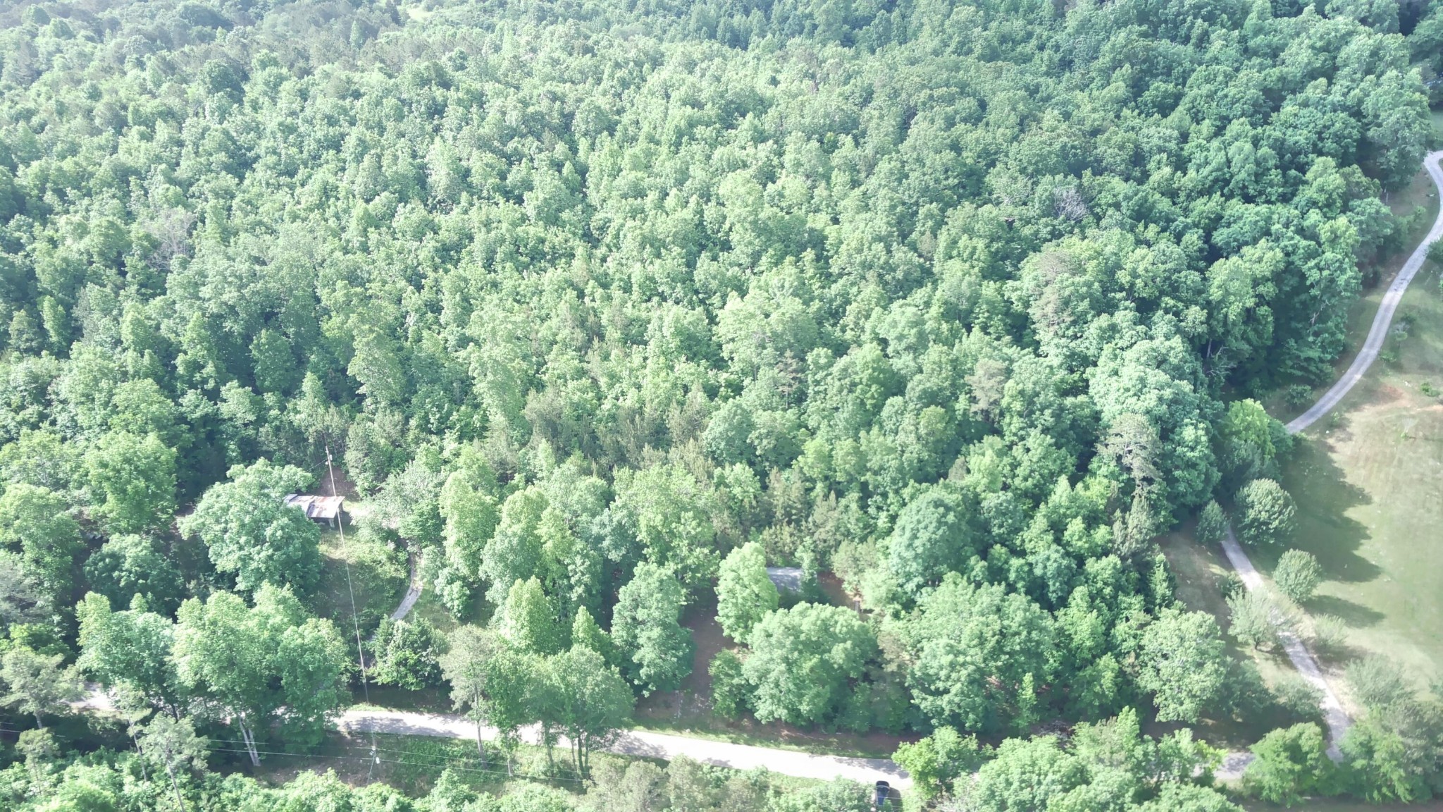 1705 Sling Alley Road Lyerly, GA 30730 - Photo 46 of 52 Gallery Image 46