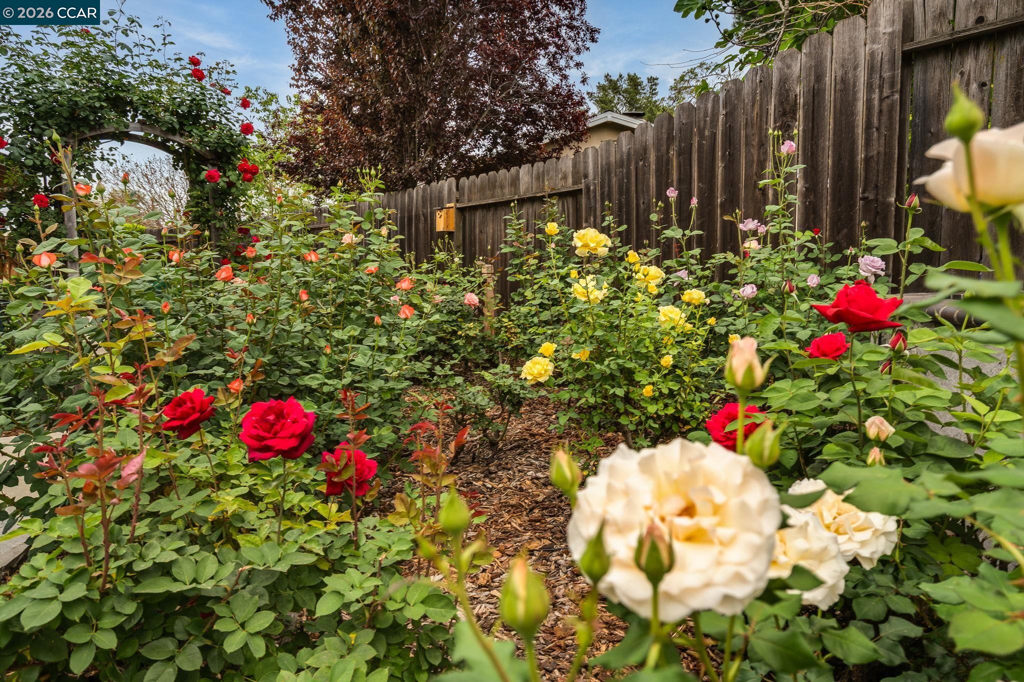 206 Dayton Court San Ramon, CA 94583 - Photo 33 of 58