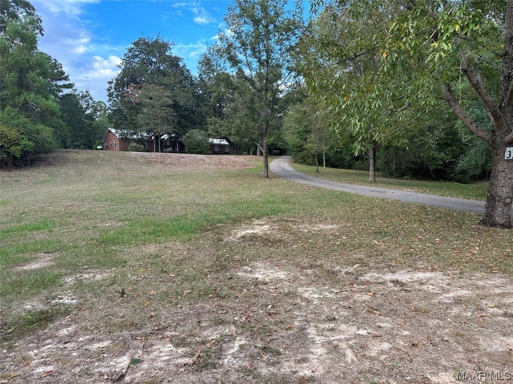 314 R Street Evergreen, AL 36401 - Photo 5 of 59 Gallery Image 5