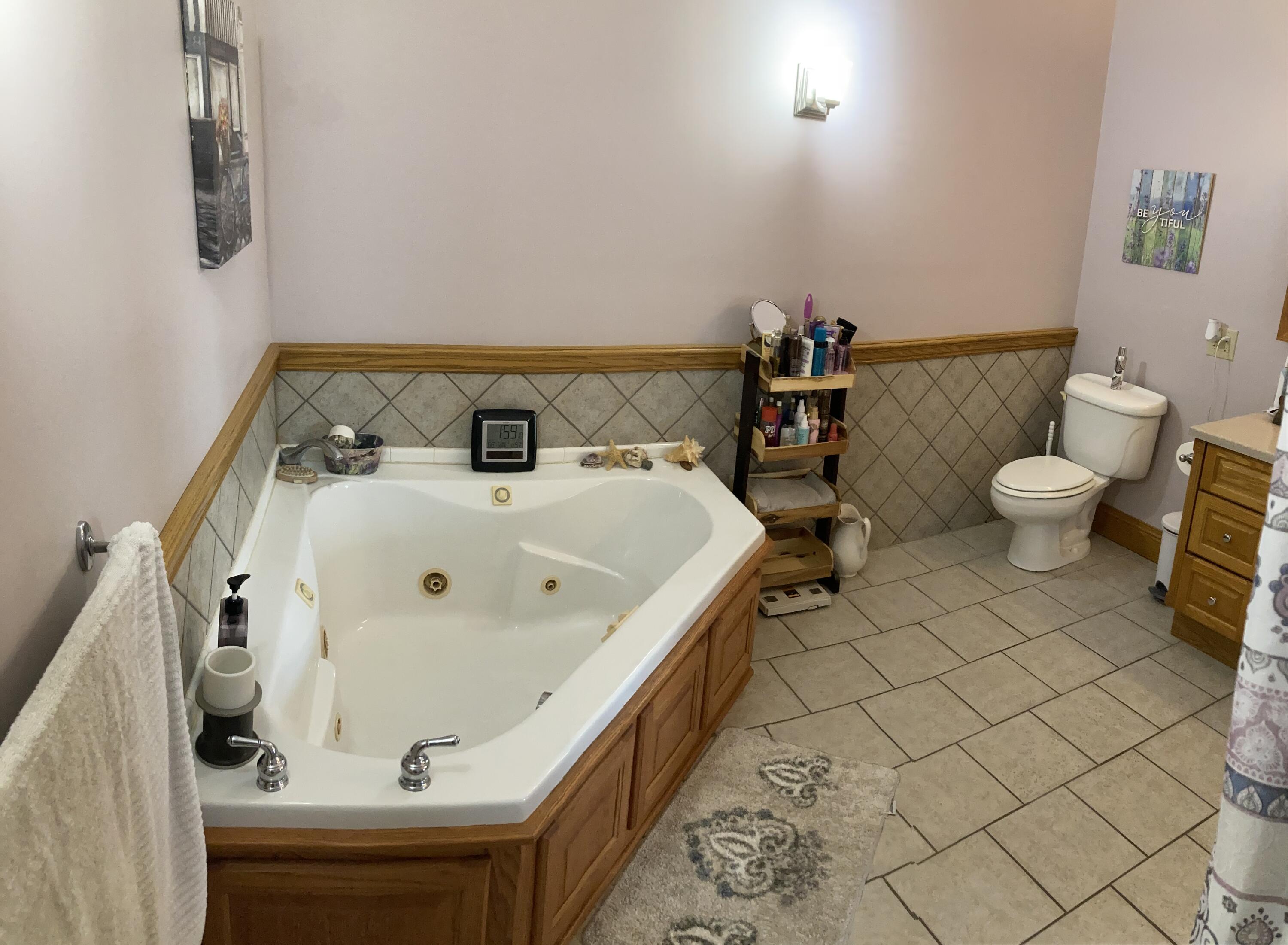 335 East Hale Street Ridgeway, OH 43345 - Photo 43 of 44