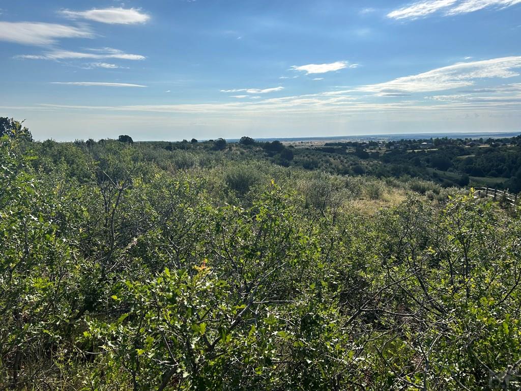 5 Lago Vista Boulevard Rye, CO 81069 - Photo 13 of 35