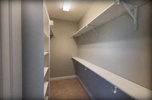 2003 Rudder Court Spring Hill, TN 37174 - Photo 12 of 19 Gallery Image 12