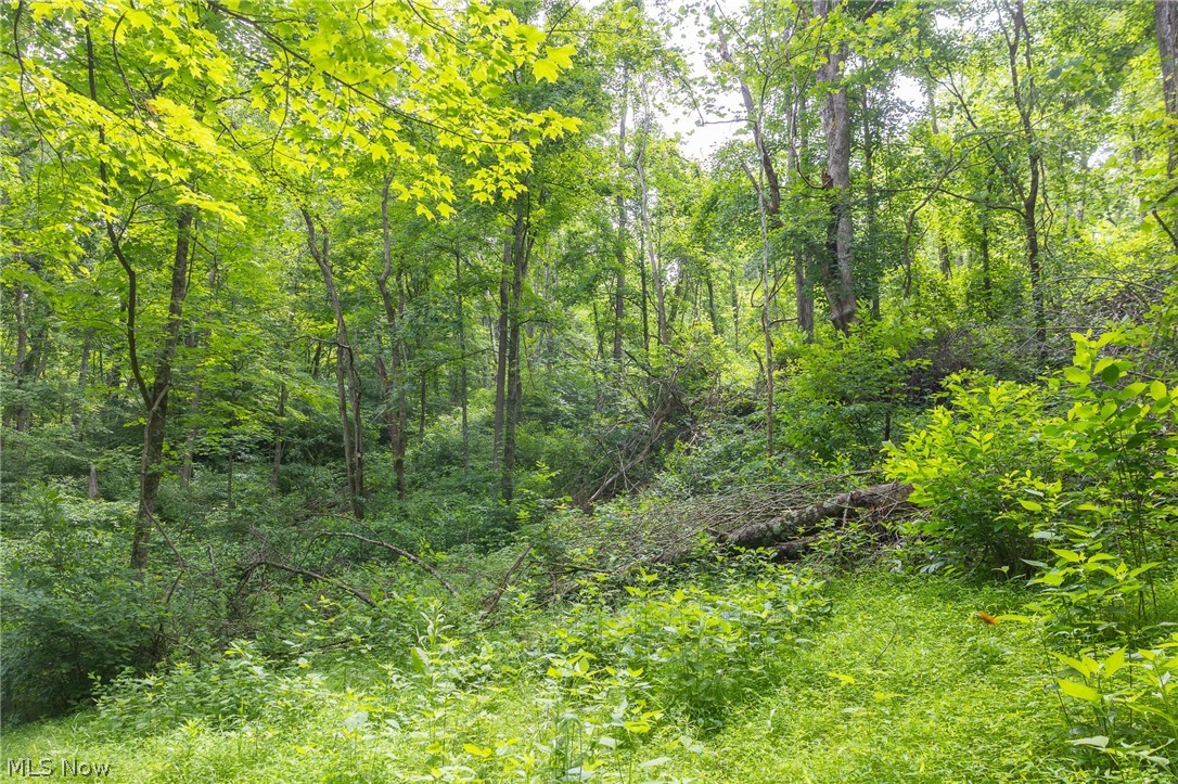 Kinnen Road Caldwell, OH 43724 - Photo 24 of 37
