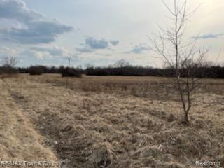 0 North Jennings Road Flint, MI 48504 - Photo 4 of 6 4.jpeg
