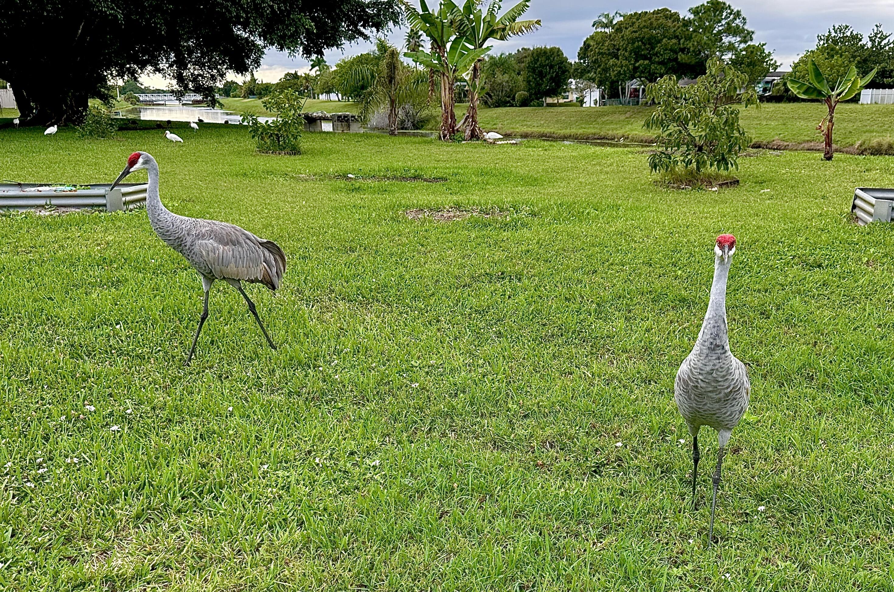 200 Southwest Ridgecrest Drive Port St. Lucie, FL 34953 - Photo 56 of 56 IMG_4148