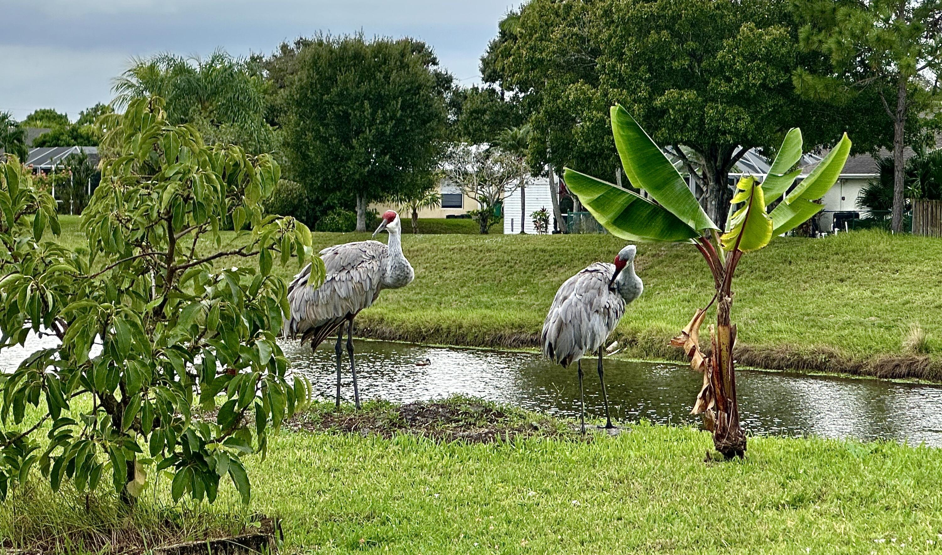 200 Southwest Ridgecrest Drive Port St. Lucie, FL 34953 - Photo 7 of 56 IMG_4136
