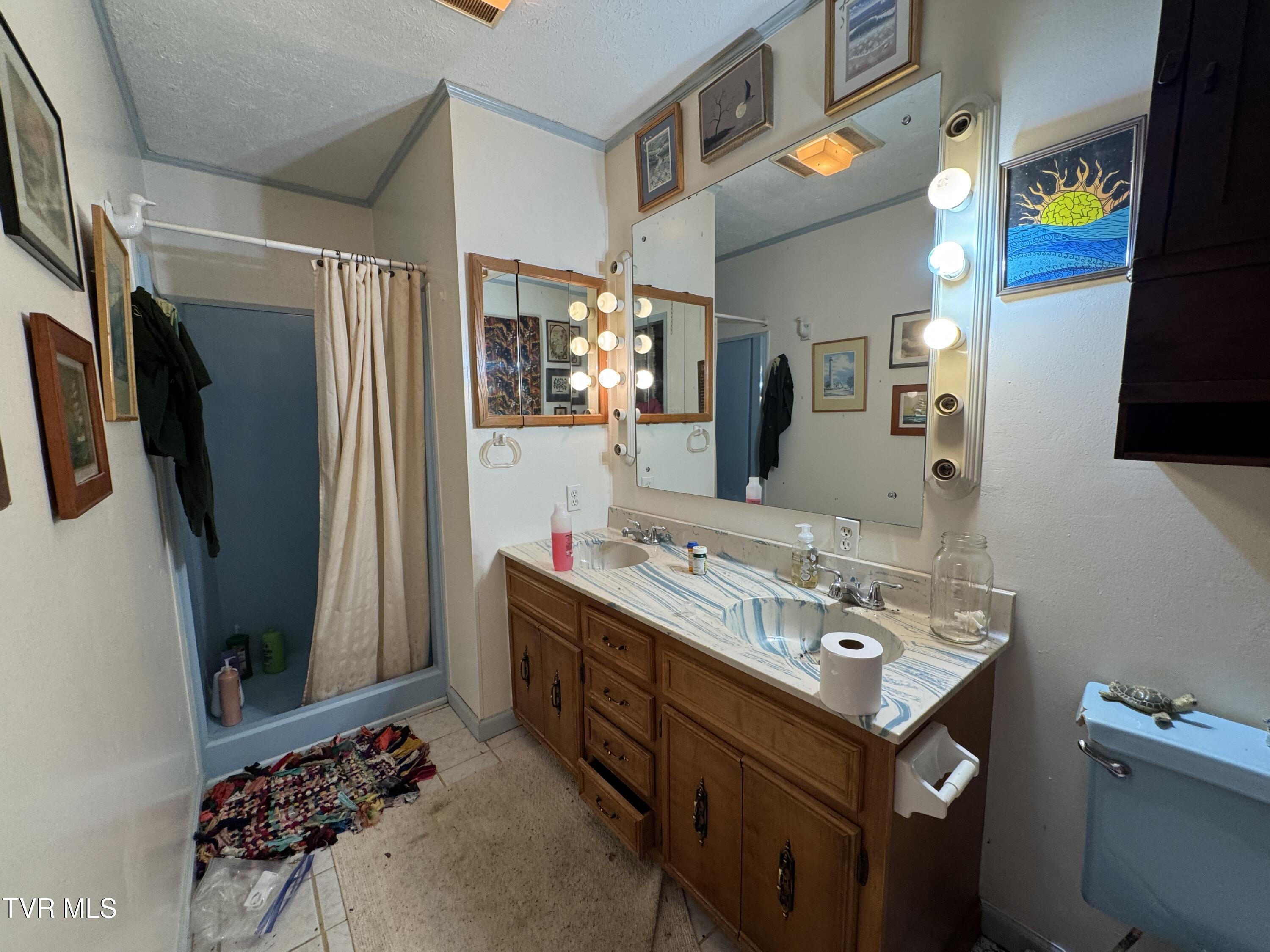649 Sugar Run Road Jonesville, VA 24263 - Photo 15 of 31 MASTER BATHROOM VANITY