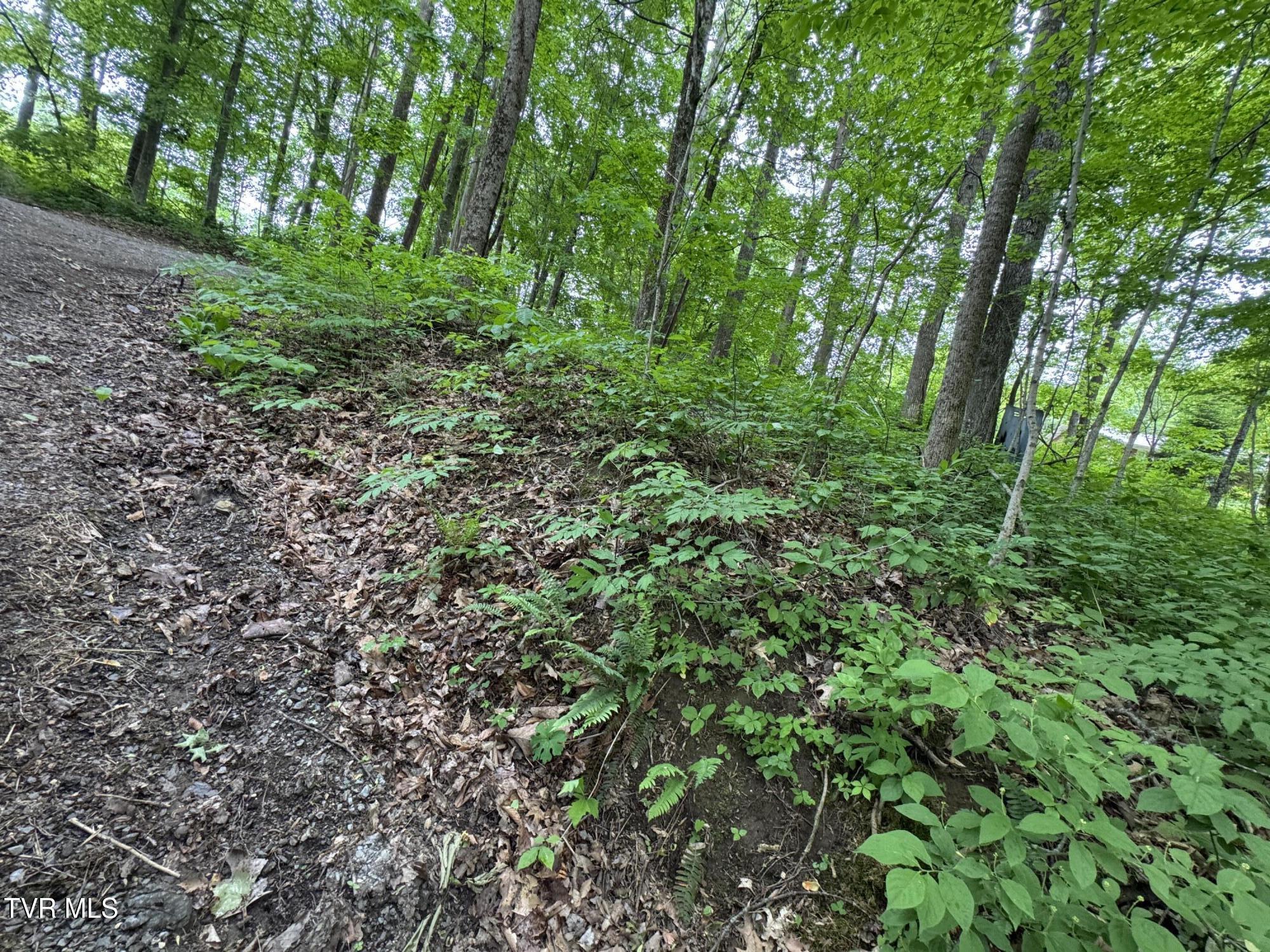 649 Sugar Run Road Jonesville, VA 24263 - Photo 20 of 31 TOP PART OF DRIVEWAY