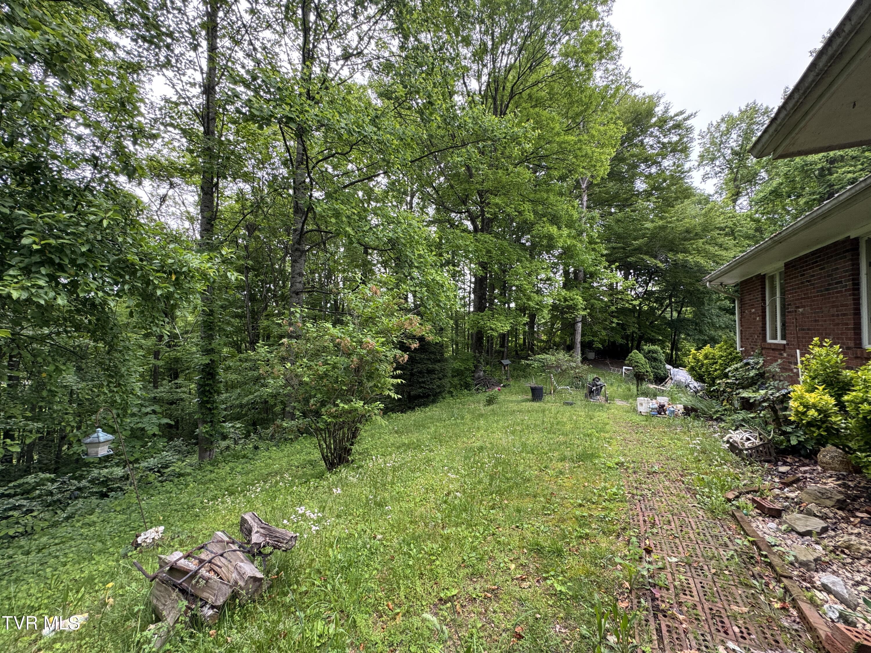 649 Sugar Run Road Jonesville, VA 24263 - Photo 2 of 31 FRONT VIEW WITH YARD
