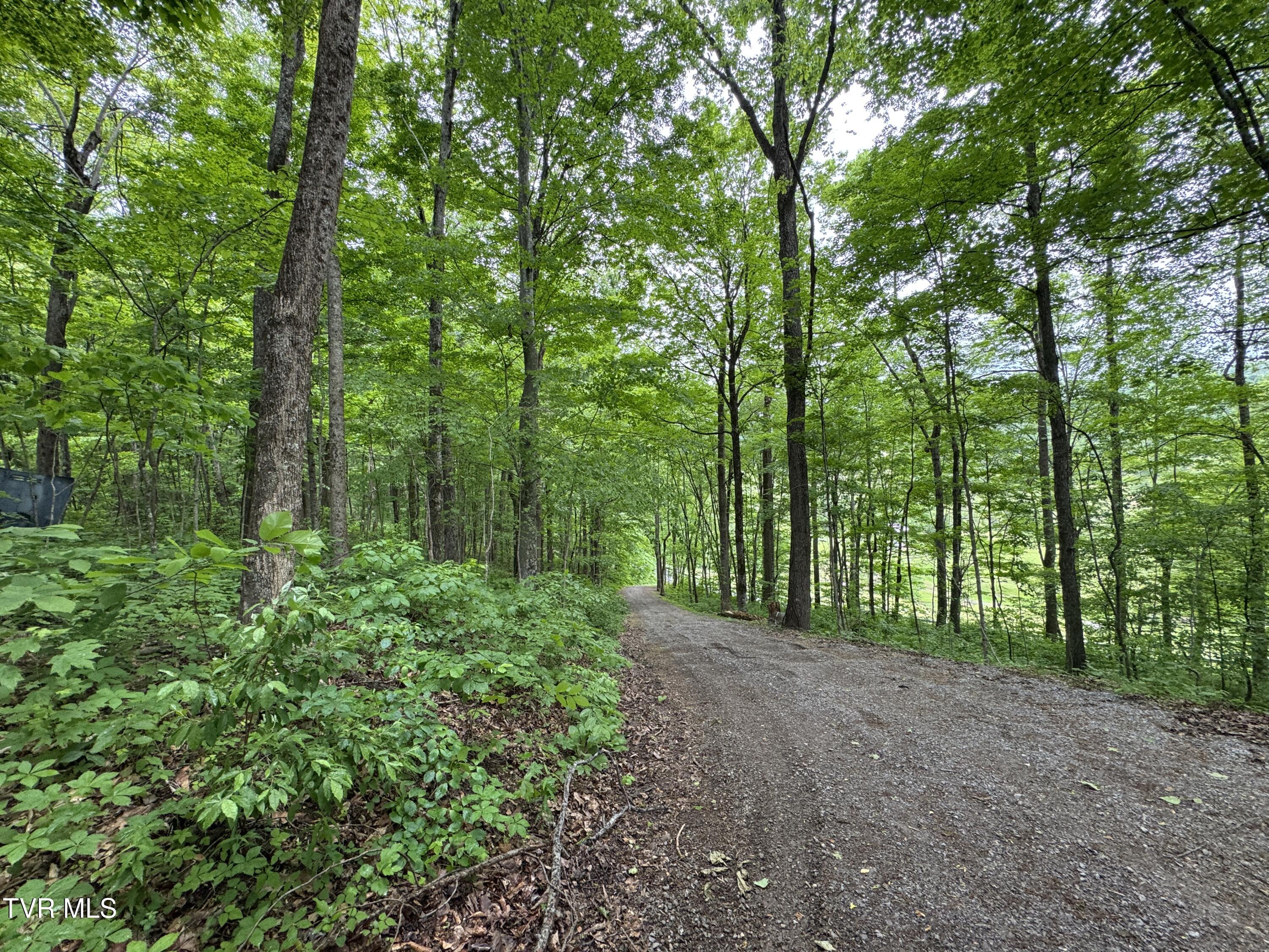 649 Sugar Run Road Jonesville, VA 24263 - Photo 22 of 31 DRIVEWAY TOWARD ROAD