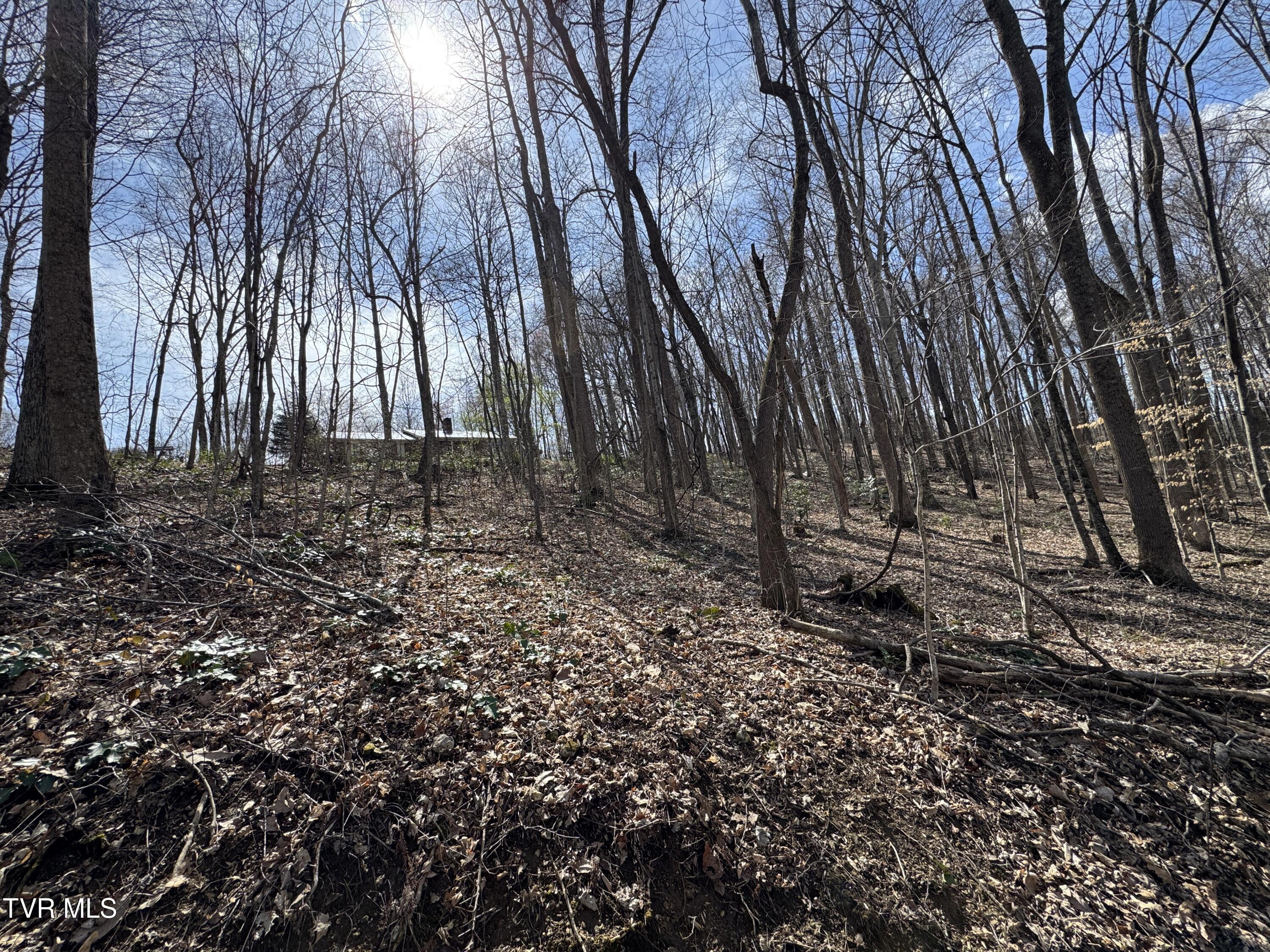 649 Sugar Run Road Jonesville, VA 24263 - Photo 30 of 31 FRONT OF HOME SHOWING PART OF LOT