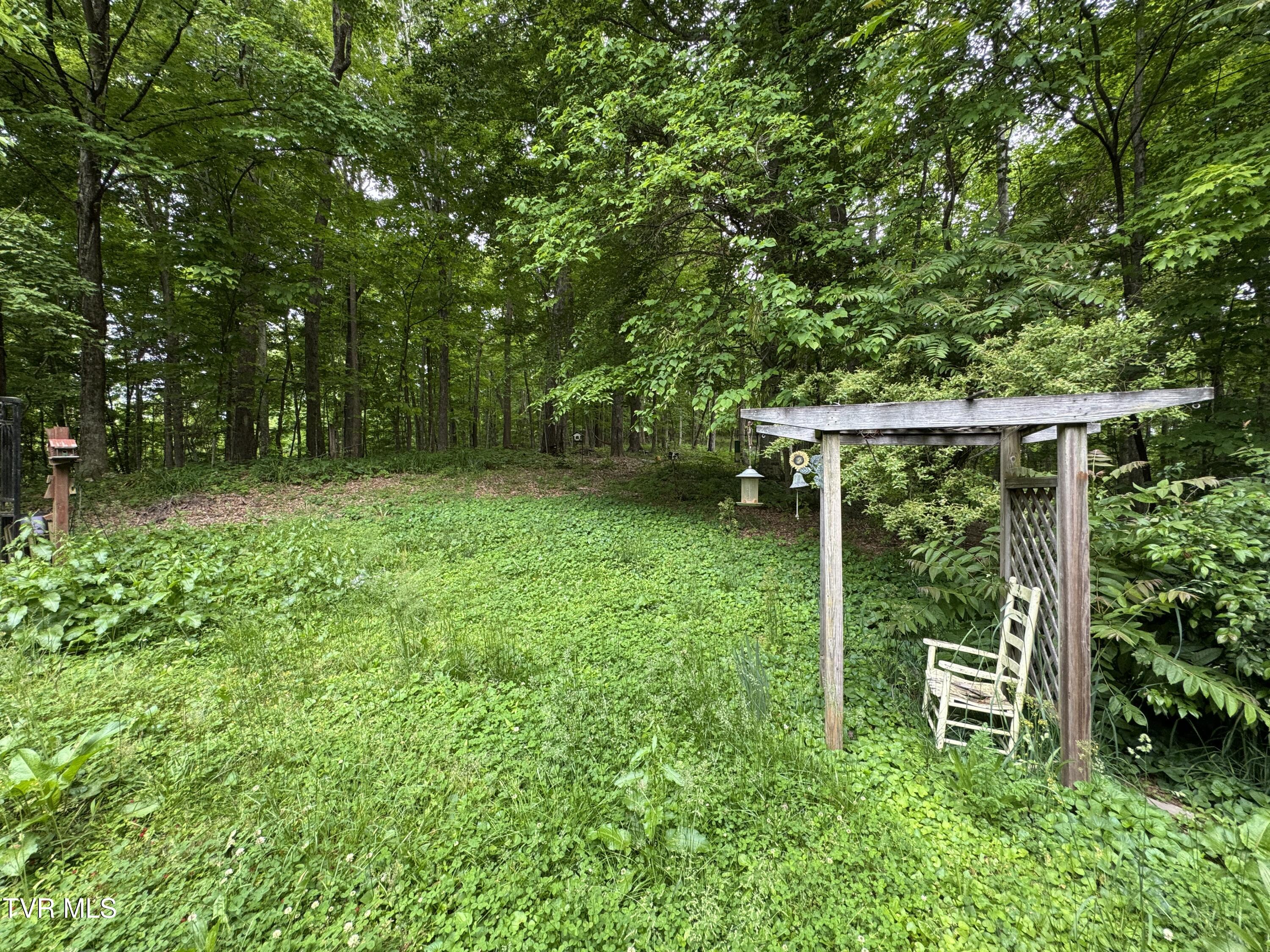649 Sugar Run Road Jonesville, VA 24263 - Photo 6 of 31 SIDE YARD