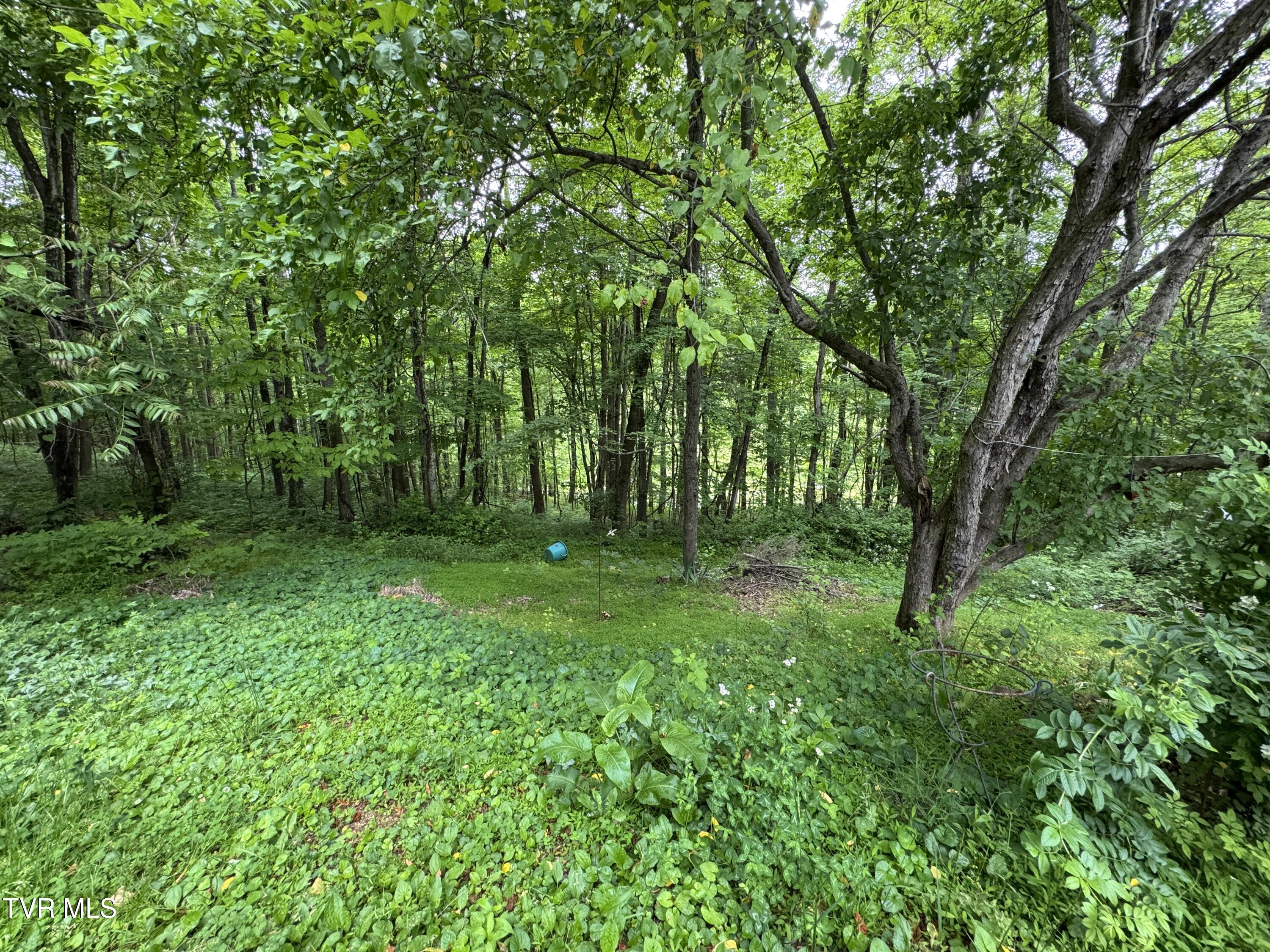 649 Sugar Run Road Jonesville, VA 24263 - Photo 7 of 31 PART OF SIDE YARD