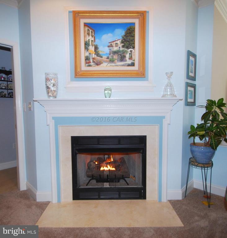 51 Pinehurst Road Ocean Pines, MD 21811 - Photo 6 of 50 a living room with a fireplace and a fireplace
