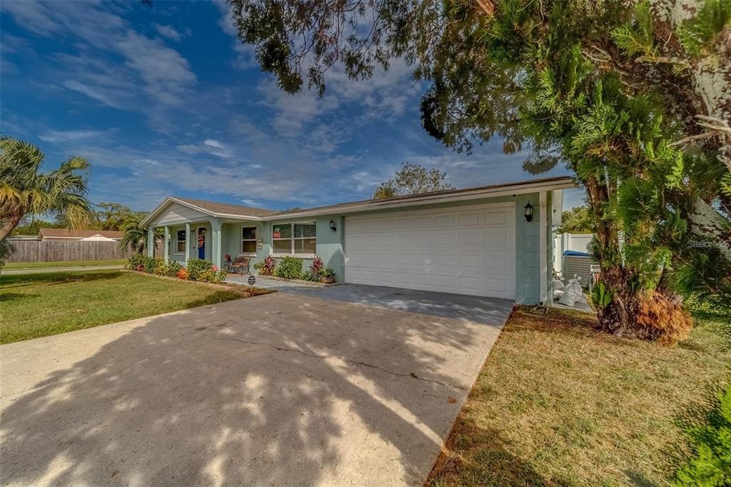 2646 Albion Street Holiday, FL 34691 - Photo 52 of 64 a view of a house with a yard
