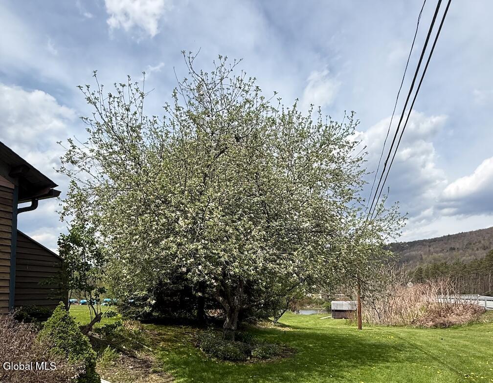 6964 River Road Colchester, NY 13755 - Photo 10 of 66 Screen Shot 2026-05-14 at 9.02.15 AM