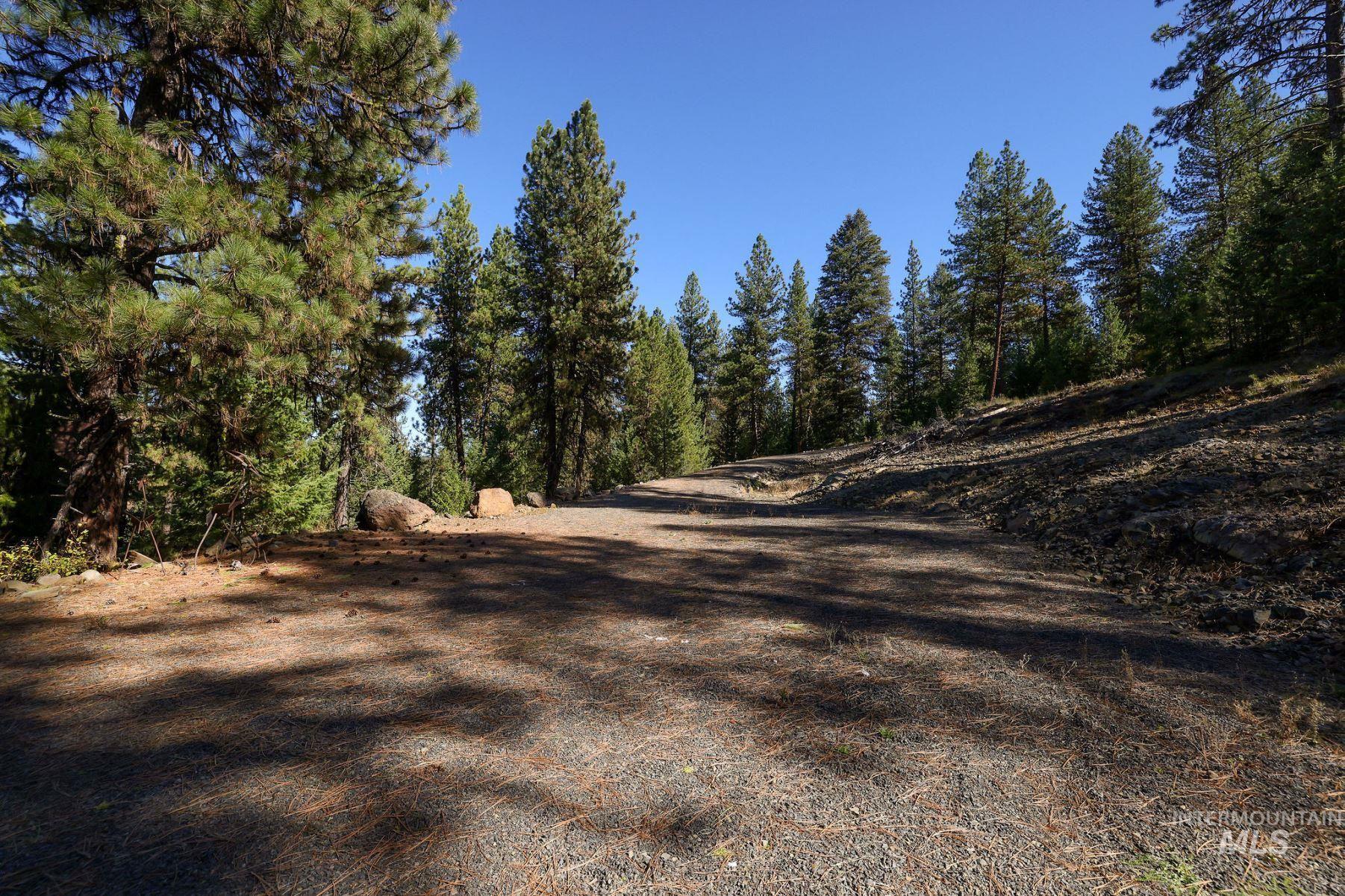 Lot 22 Rim Road New Meadows, ID 83654 - Photo 15 of 49