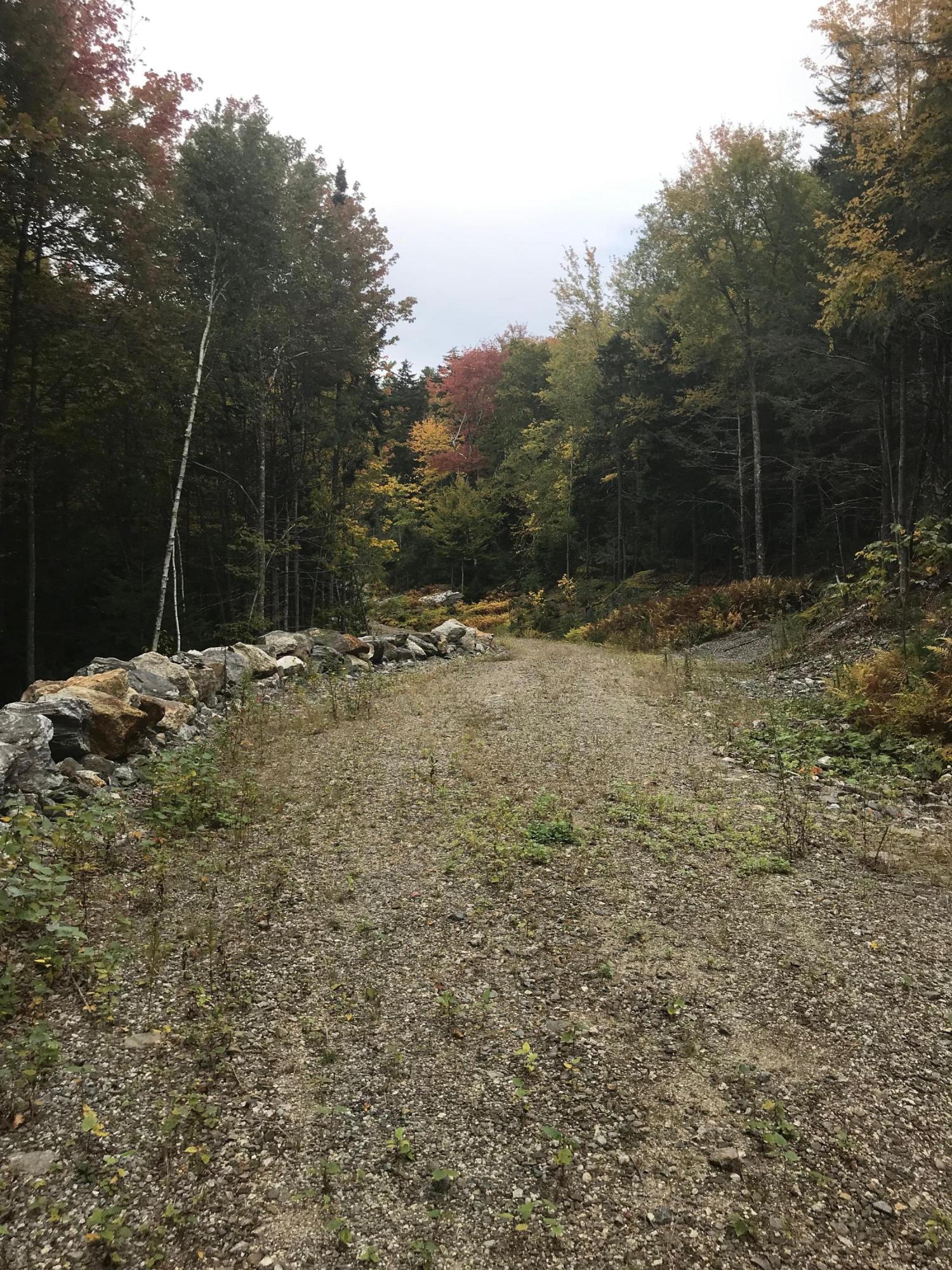 0 Holly Hill Road Harpswell, ME 04079 - Photo 11 of 16 IMG-9027
