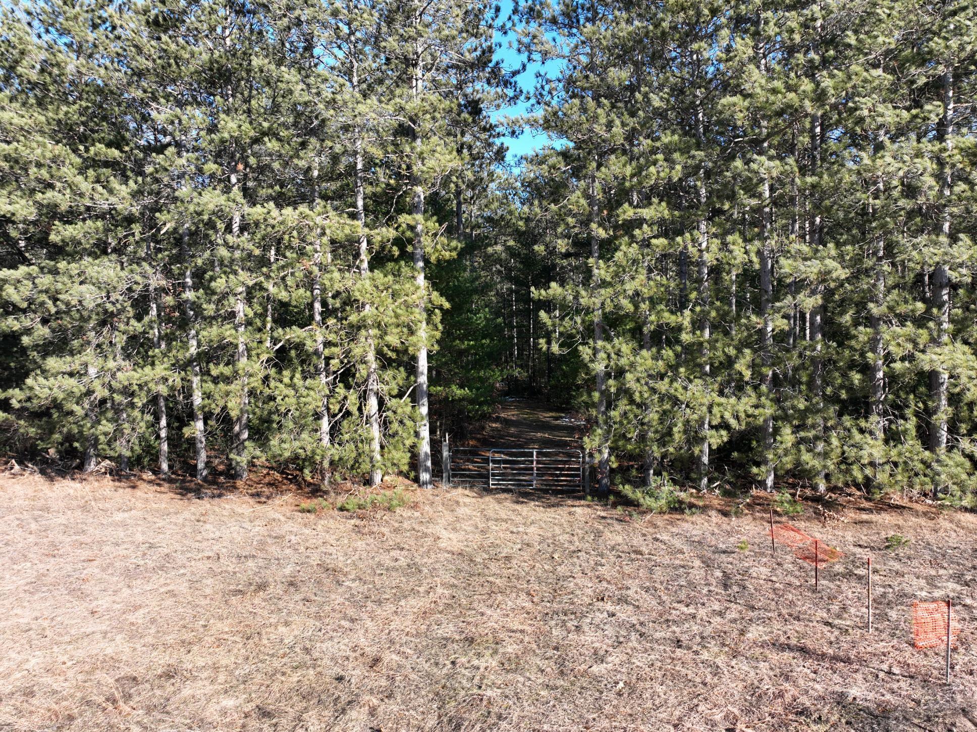 2568 South Pine Avenue White Cloud, MI 49349 - Photo 13 of 19 15