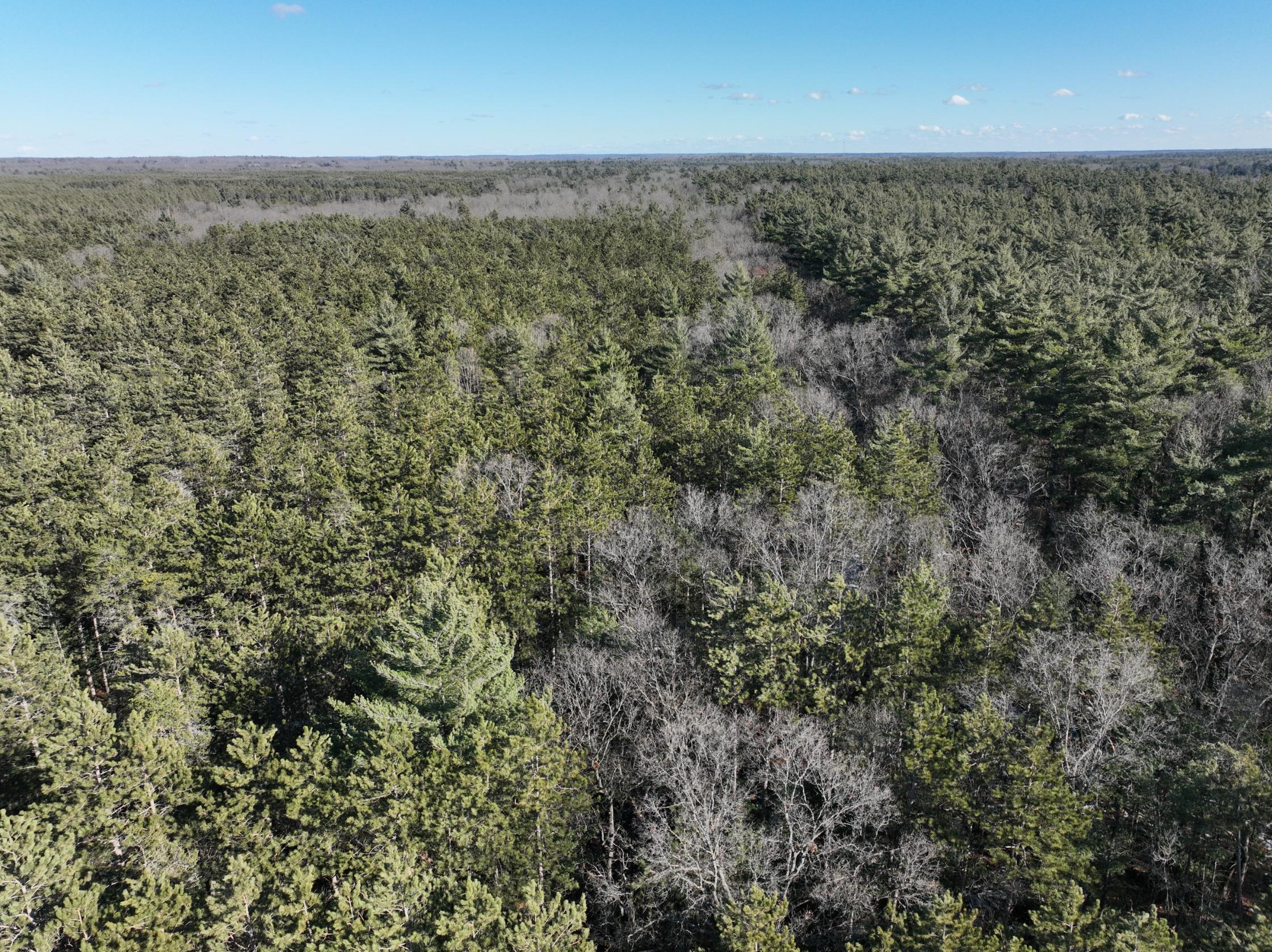 2568 South Pine Avenue White Cloud, MI 49349 - Photo 14 of 19 DJI_0006