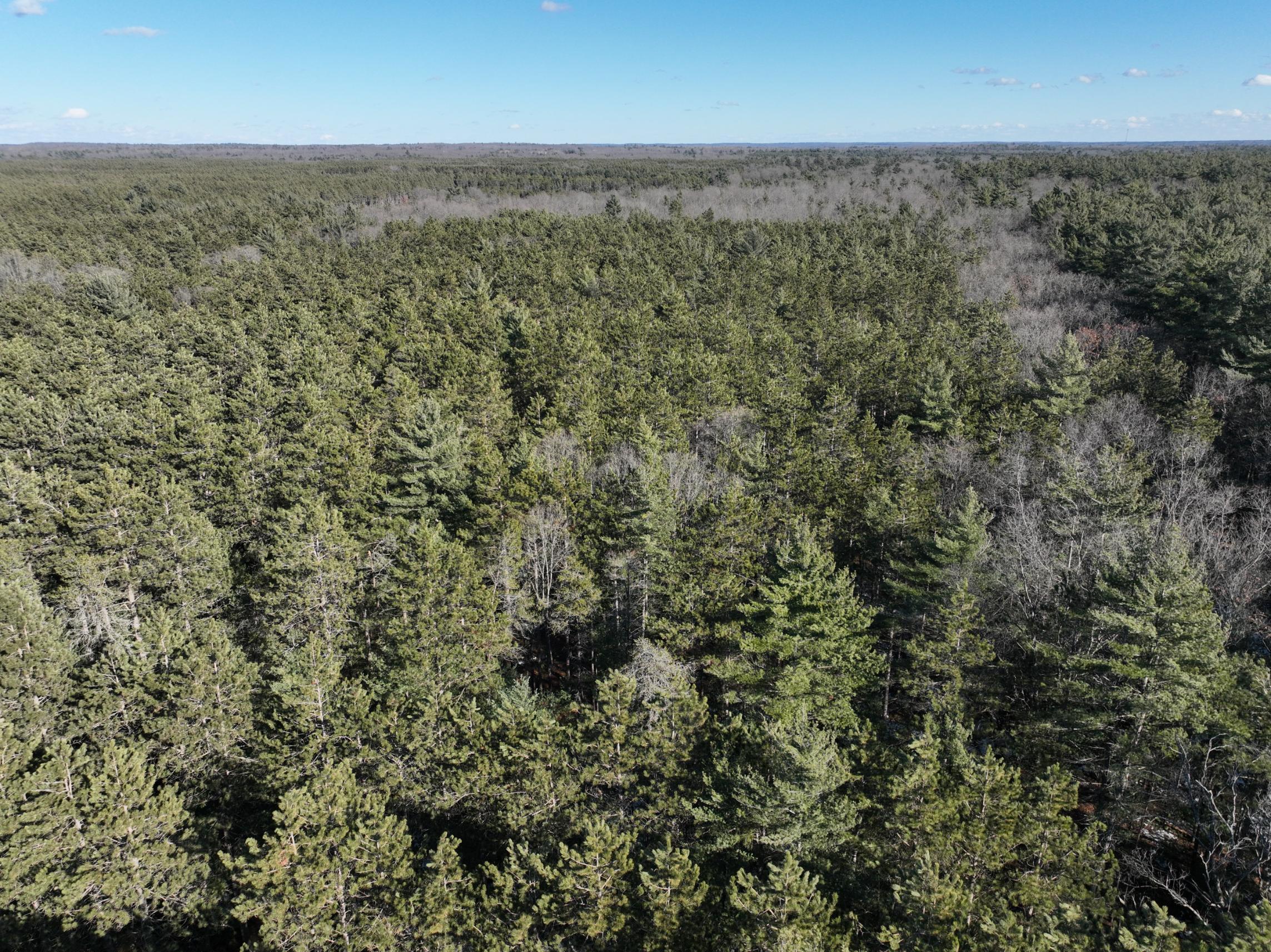 2568 South Pine Avenue White Cloud, MI 49349 - Photo 15 of 19 DJI_0011