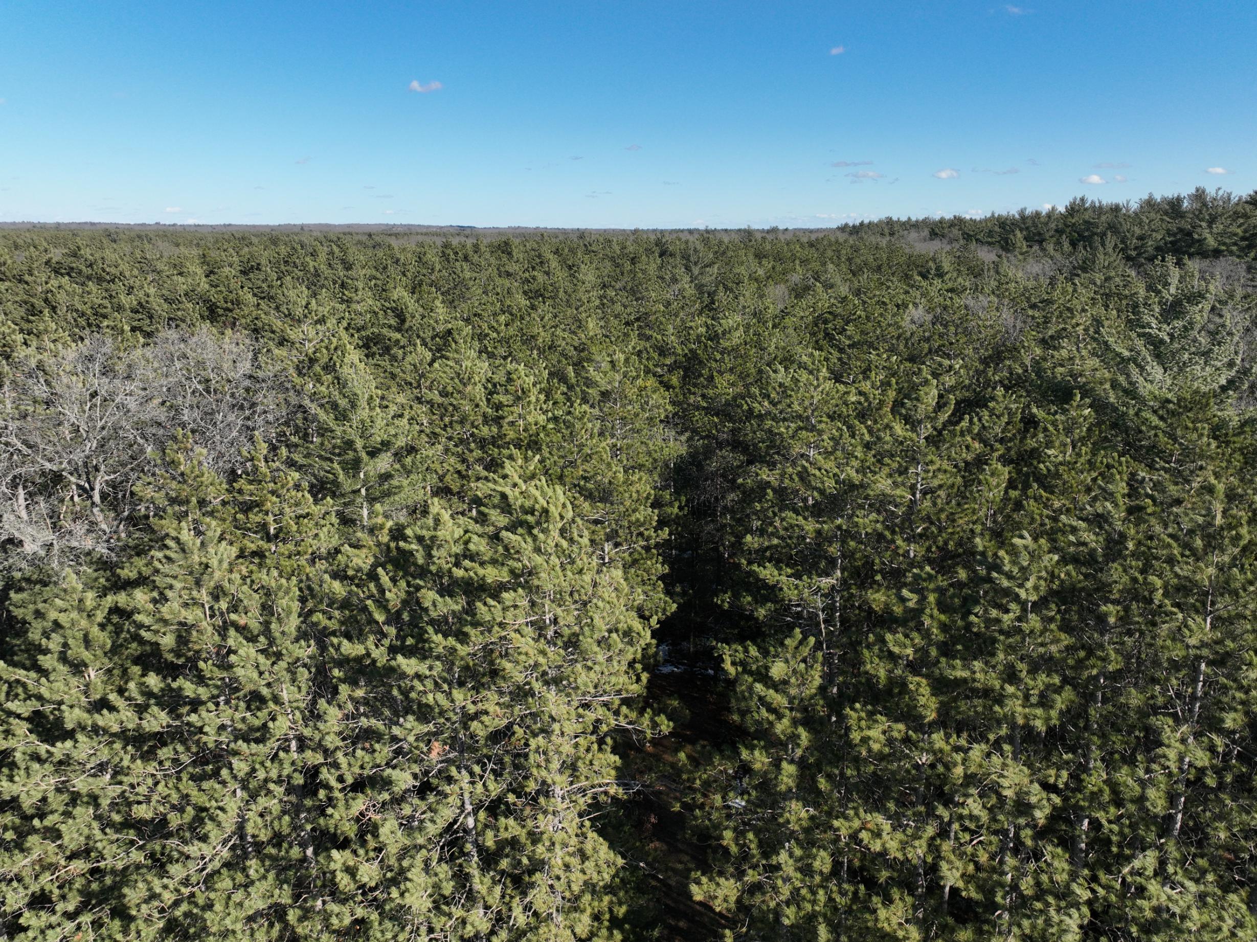 2568 South Pine Avenue White Cloud, MI 49349 - Photo 16 of 19 DJI_0997