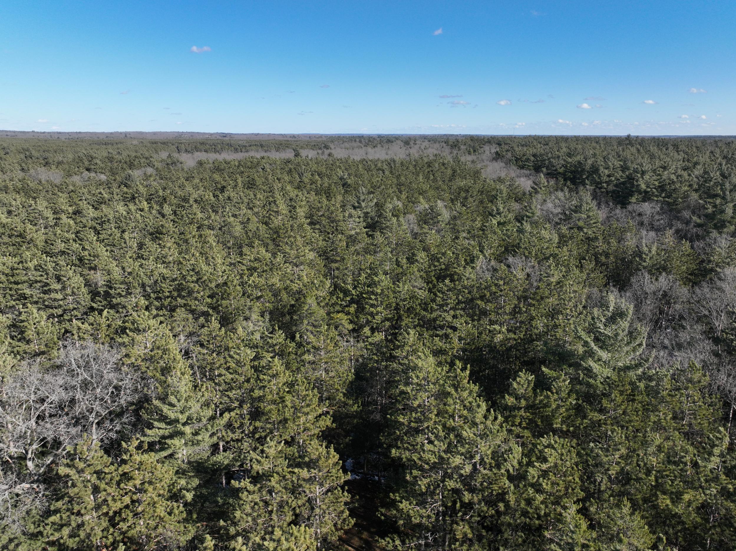 2568 South Pine Avenue White Cloud, MI 49349 - Photo 17 of 19 DJI_0999