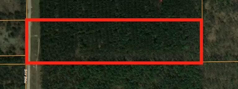 2568 South Pine Avenue White Cloud, MI 49349 - Photo 18 of 19 zAerial Close - Belka