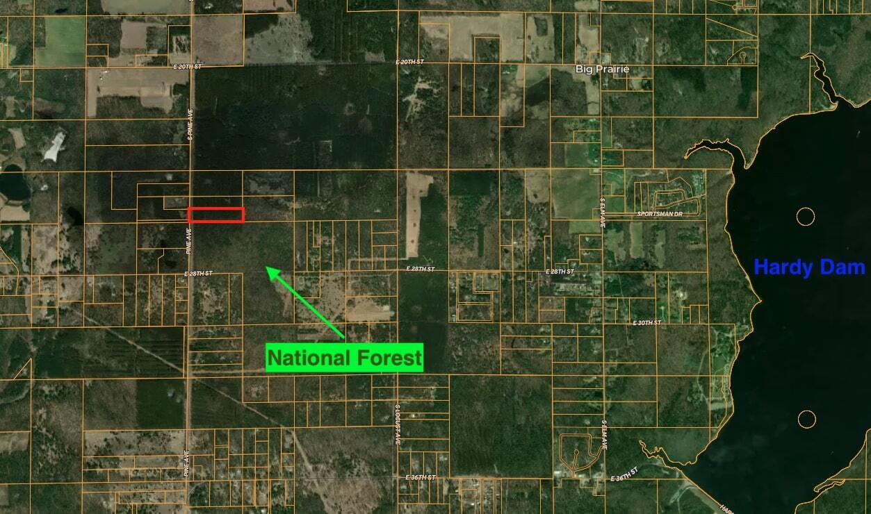 2568 South Pine Avenue White Cloud, MI 49349 - Photo 19 of 19 ZZAerial Far - Belka