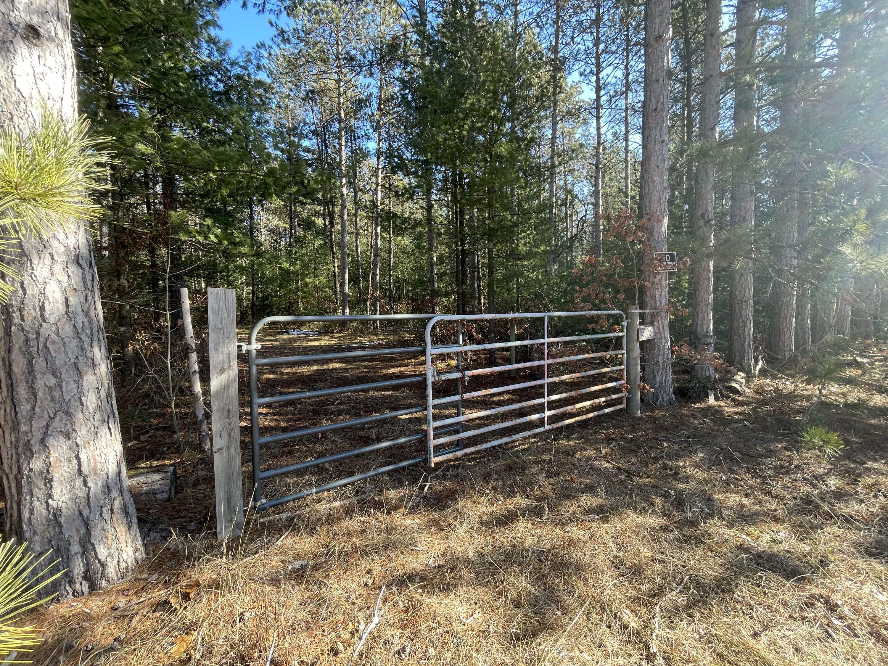 2568 South Pine Avenue White Cloud, MI 49349 - Photo 2 of 19 2
