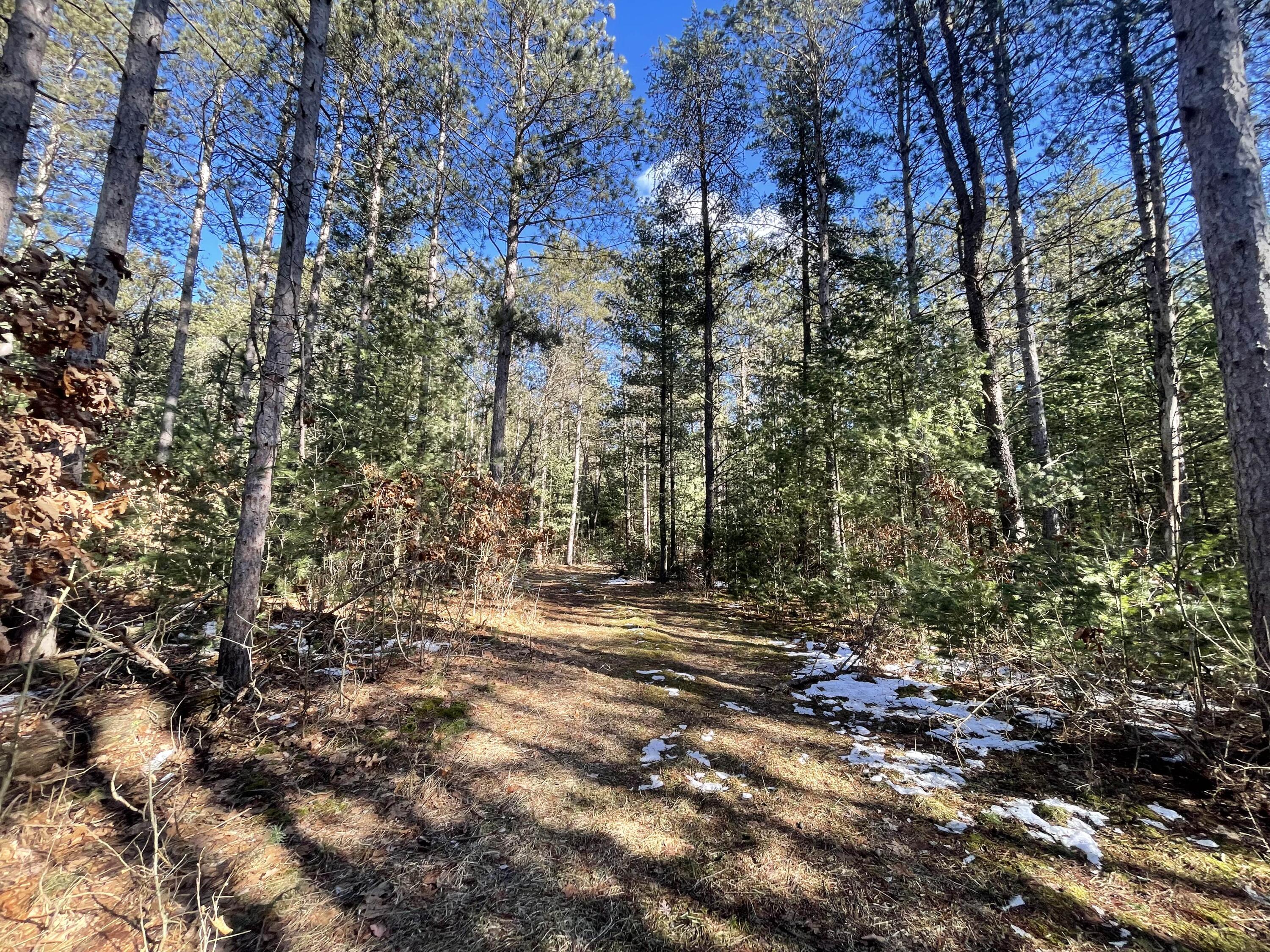 2568 South Pine Avenue White Cloud, MI 49349 - Photo 3 of 19 3