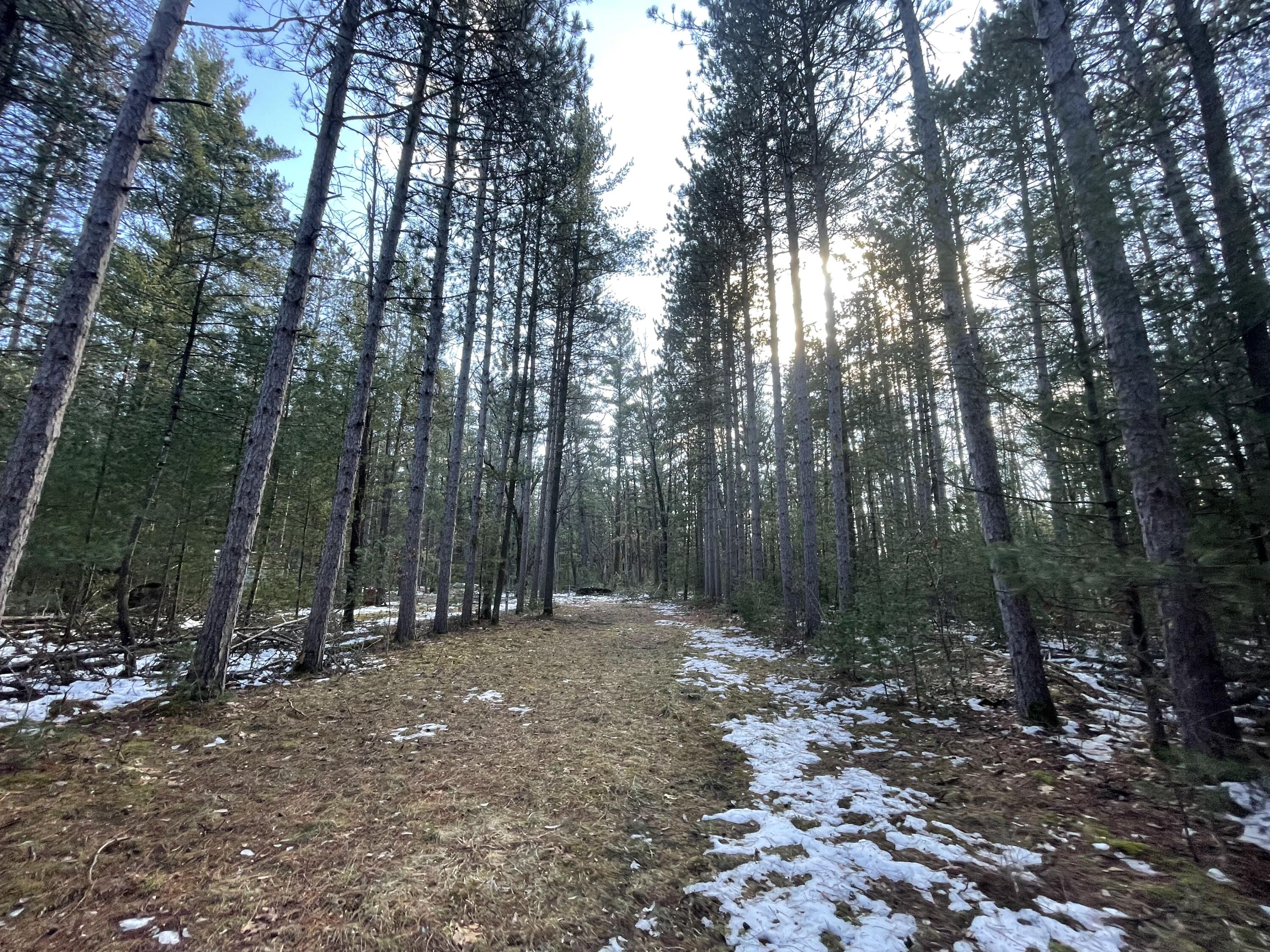 2568 South Pine Avenue White Cloud, MI 49349 - Photo 4 of 19 4