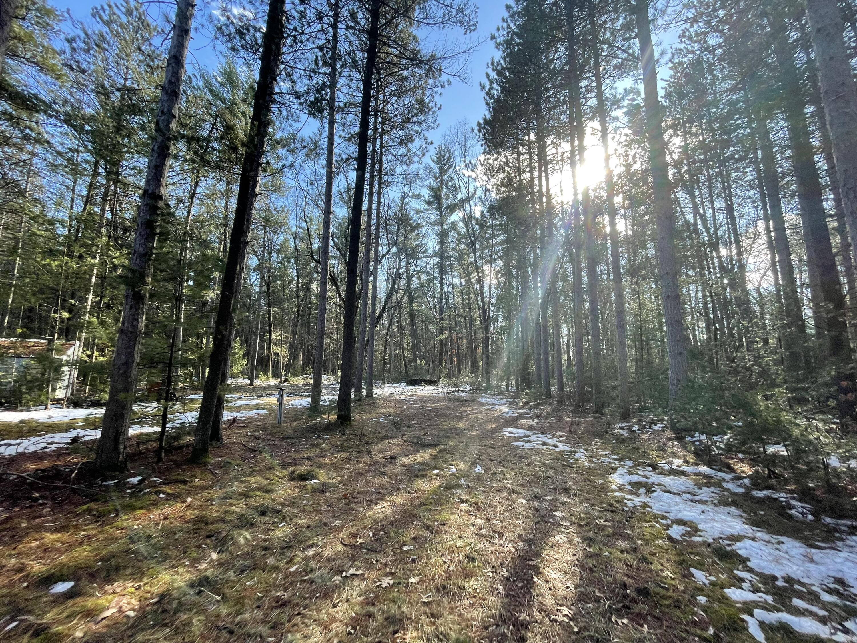 2568 South Pine Avenue White Cloud, MI 49349 - Photo 5 of 19 6