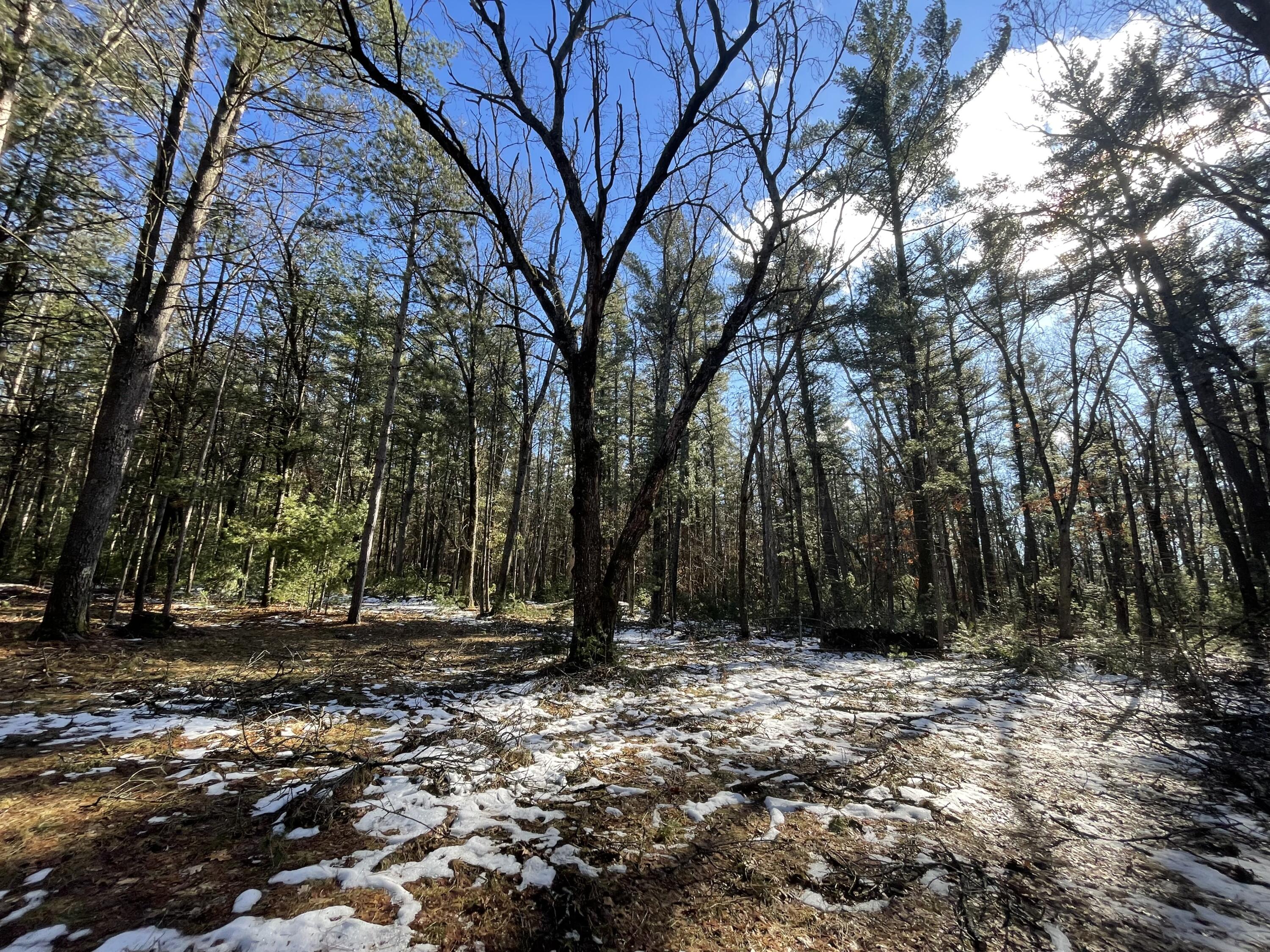 2568 South Pine Avenue White Cloud, MI 49349 - Photo 6 of 19 8